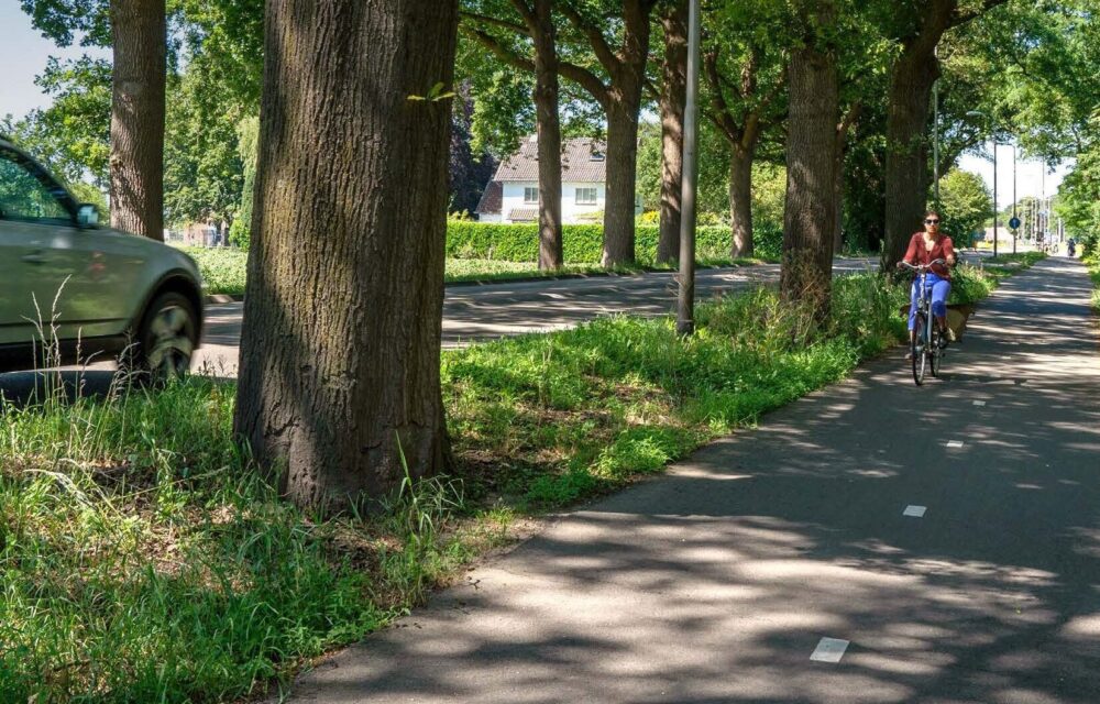 Zutphenseweg tussen Gorssel en Eefde dicht t/m 31 oktober